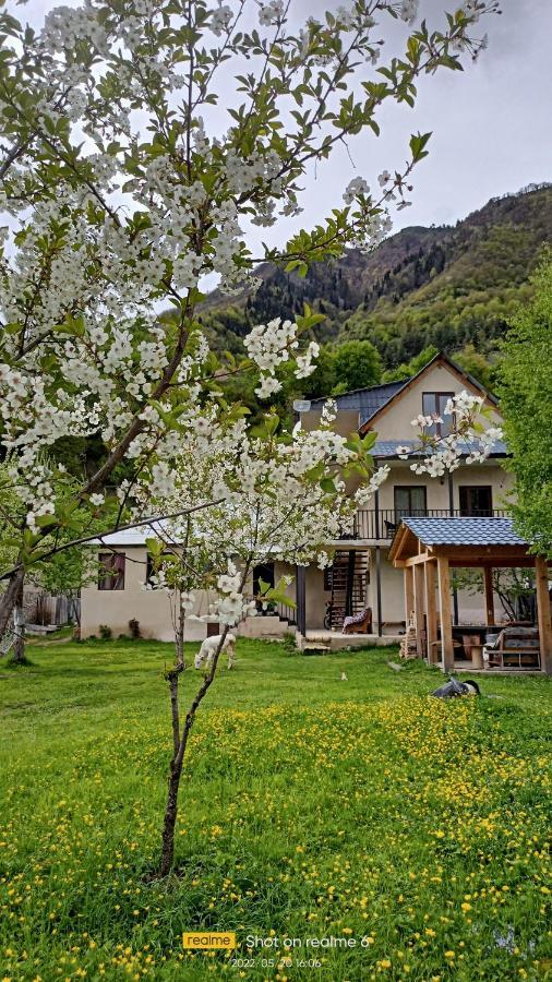 House B&B メスティア エクステリア 写真